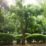 Sea Garden Plaza - Free Parking 부르가스