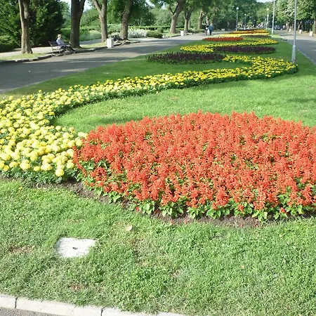 Apartment Sea Garden Plaza - Free Parking *