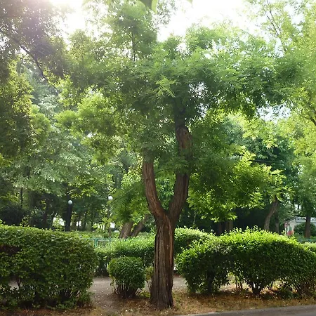 Sea Garden Plaza - Free Parking Burgas City