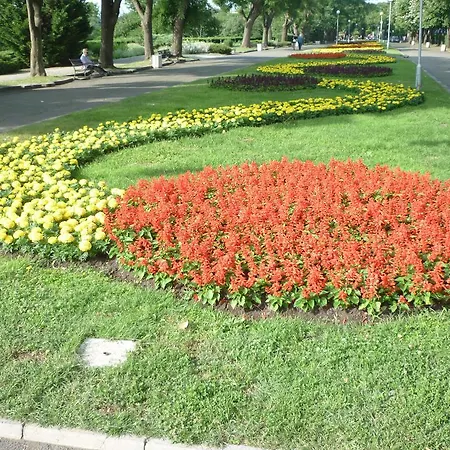 아파트 Sea Garden Plaza - Free Parking *